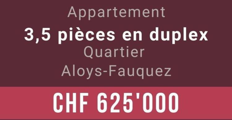 Appartement avec mezzanine