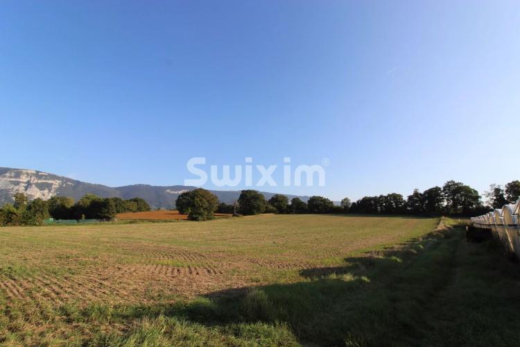Vente Maison Plan-les-Ouates 8 Pièces 180 m²