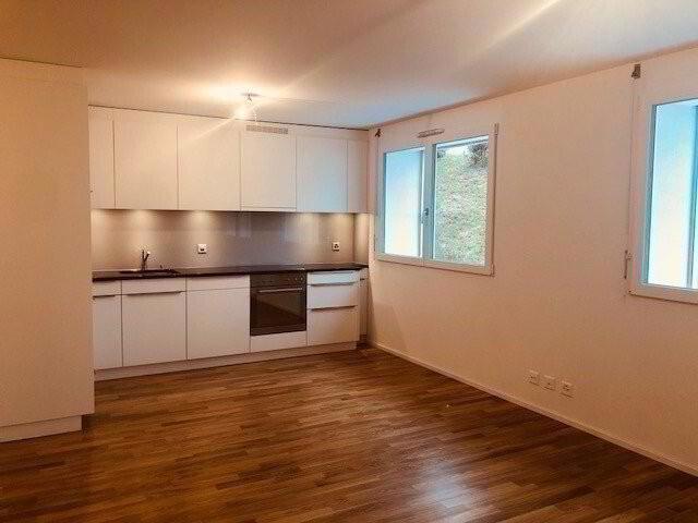 Appartement 1 pièce