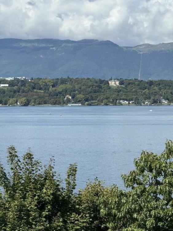 Apartment for sale, Cologny (Cologny, Switzerland)