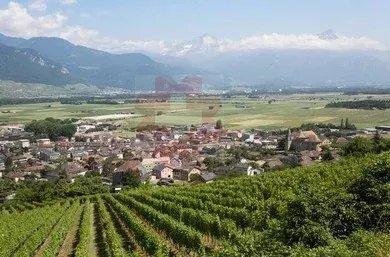 Apartment for sale, Rue du Pied-de-Ville 21 (Vouvry, Switzerland)
