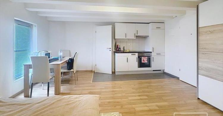 Appartement 1 pièce