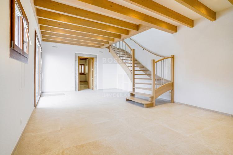 House for sale, centre (Plan-les-Ouates, Switzerland)