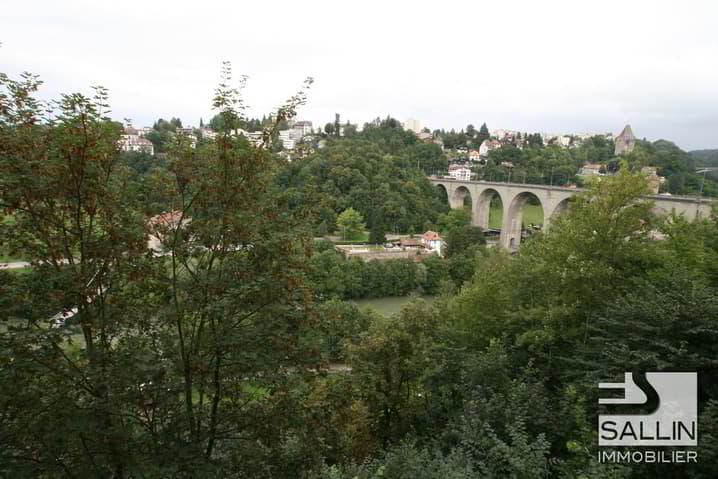 STUDIO AVEC BELLE VUE SUR LA SARINE