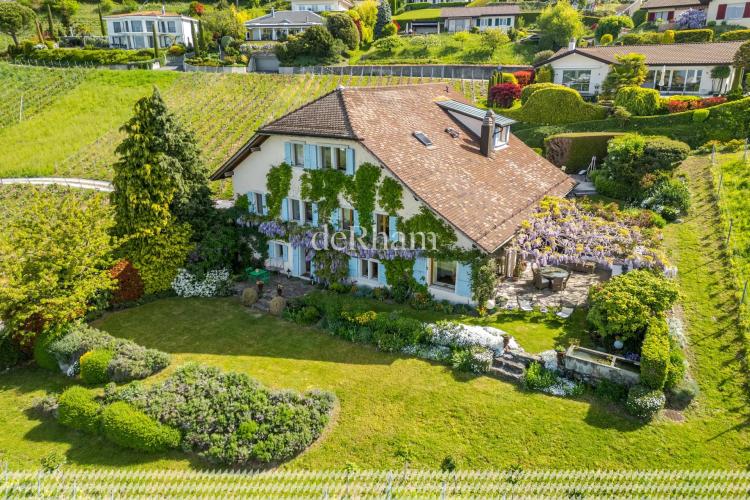 Maison vigneronne de charme Au cœur des vignes Vue sur le Léman