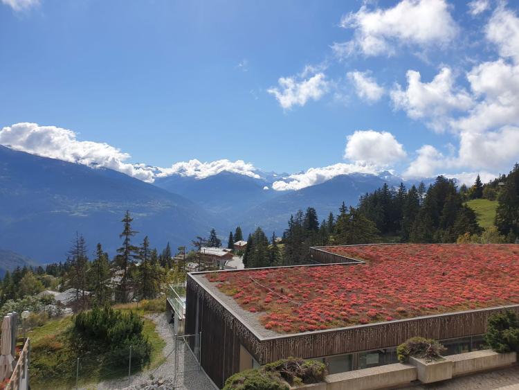 Apartment for rent, Anzère (Hérens District, Switzerland)