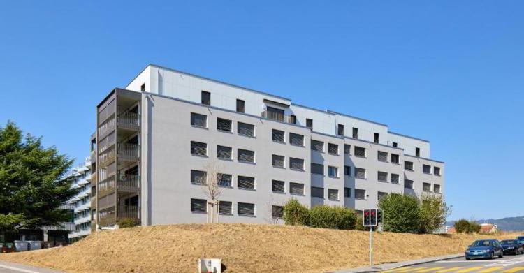 Appartement 1 pièce