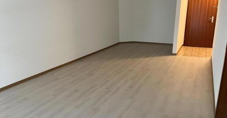 Appartement 1 pièce