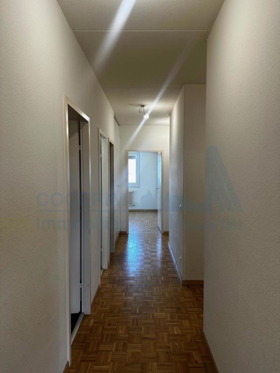 Apartment for rent, Avenue du Curé-Baud 49 (Lancy, Switzerland)