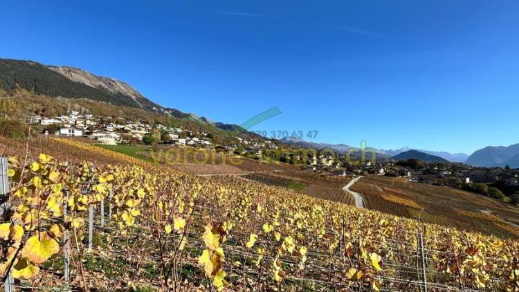 Nouvelle promotion à Savièse