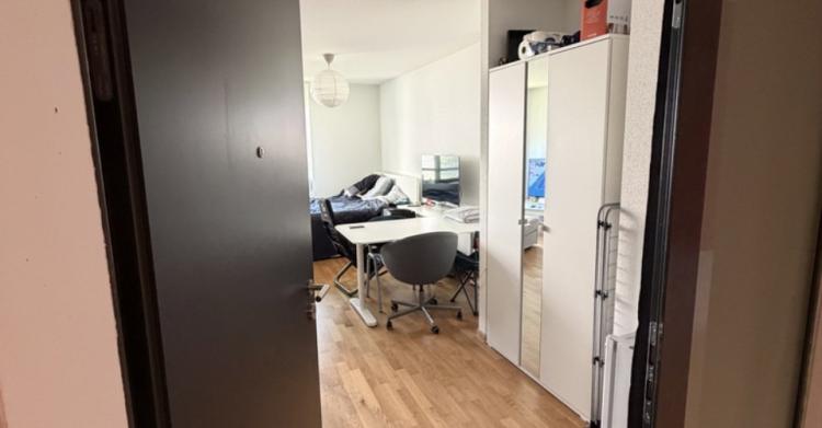 Appartement 1.5 pièces
