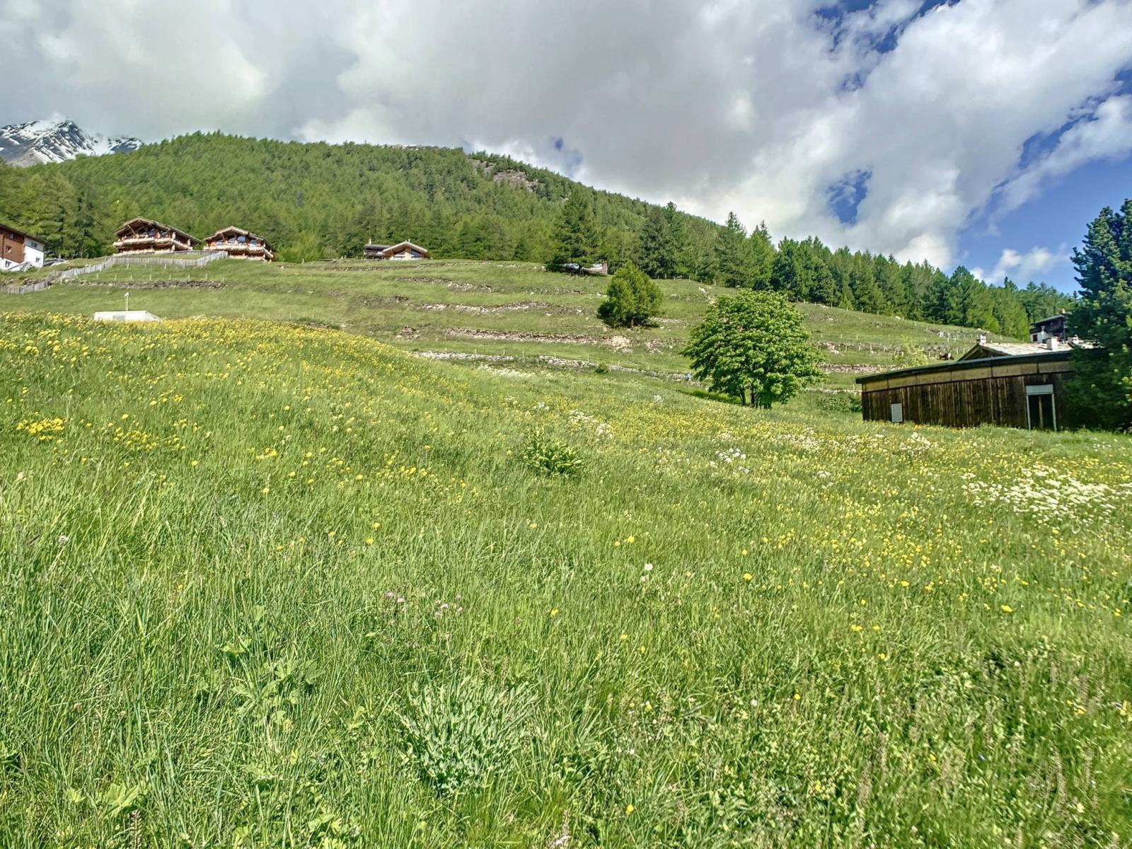 Terrain à bâtir parfaitement situé