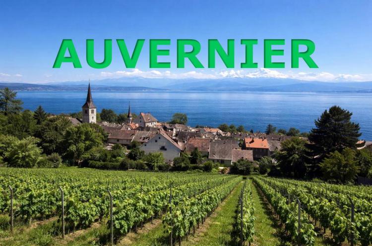 House for sale, Auvernier (Milvignes, Switzerland)