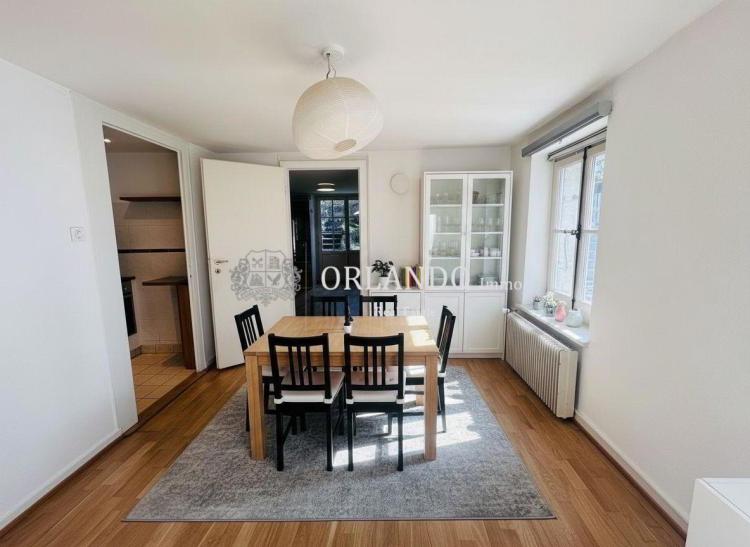 Apartment for rent, Rue Ancienne (Carouge, Switzerland)