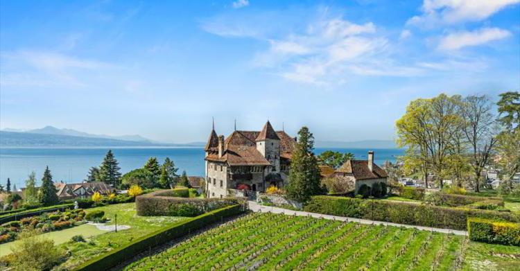 Château 12.5 pièces