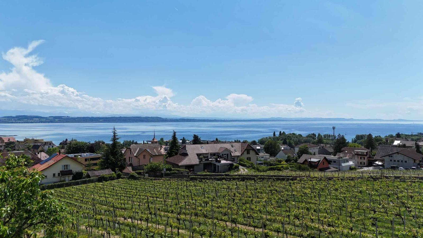 Villa de standing au cœur des vignes avec vue lac imprenable