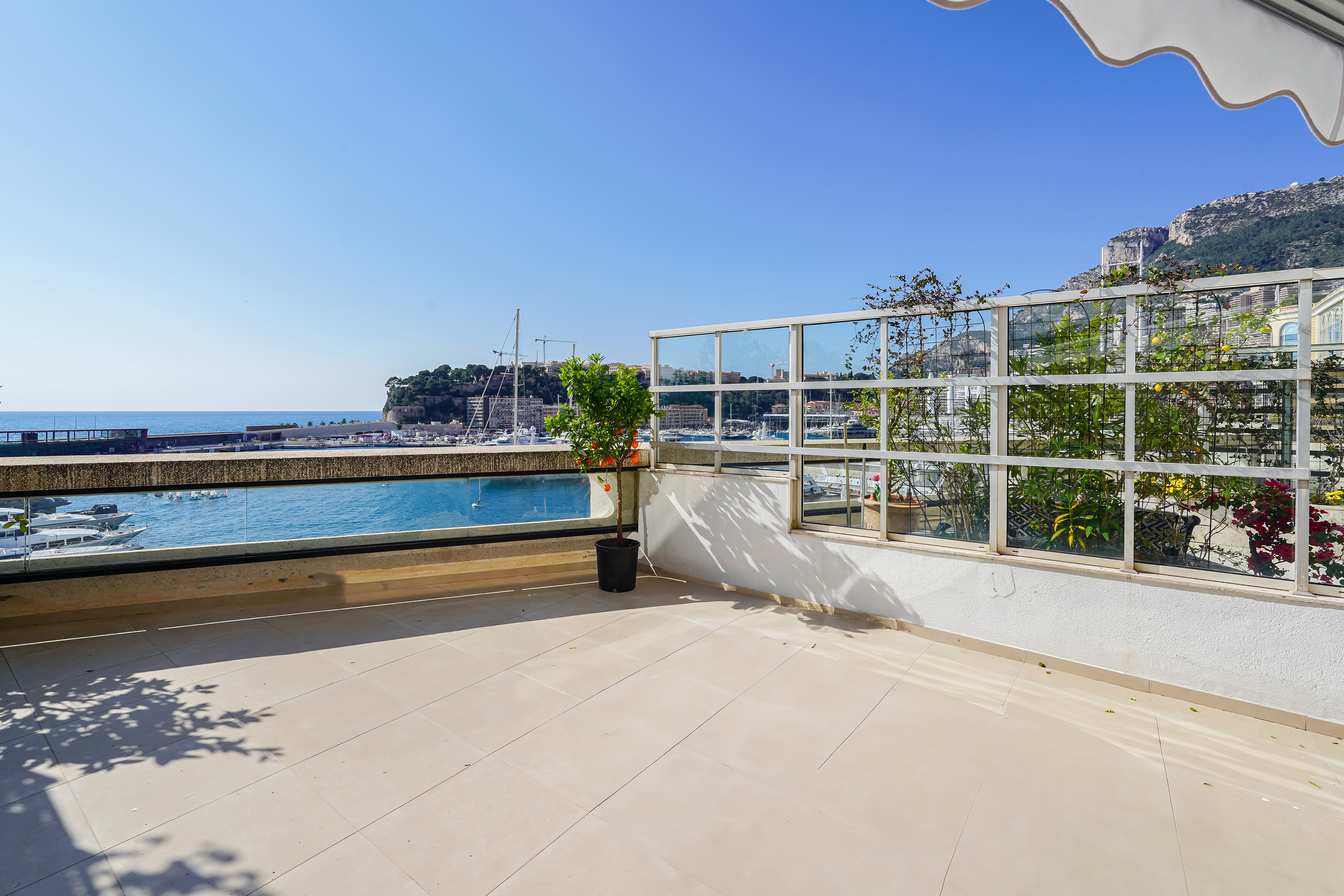 RvnUx_terrasse-mc-star-barnes-valeri-agency-monaco-1773919082.jpg