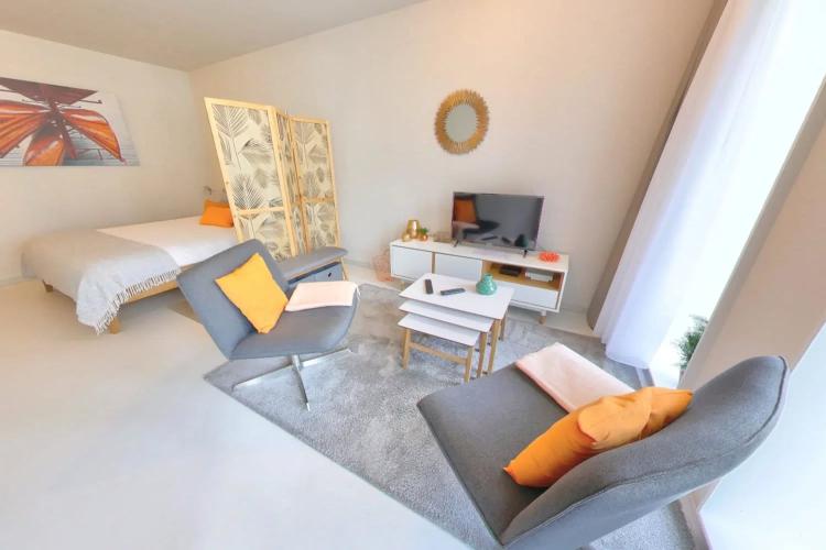 Furnished Premium studio with parking space available - Nyon