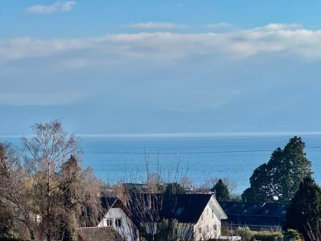Superbe maison 5.5 pièces avec vue sur le lac