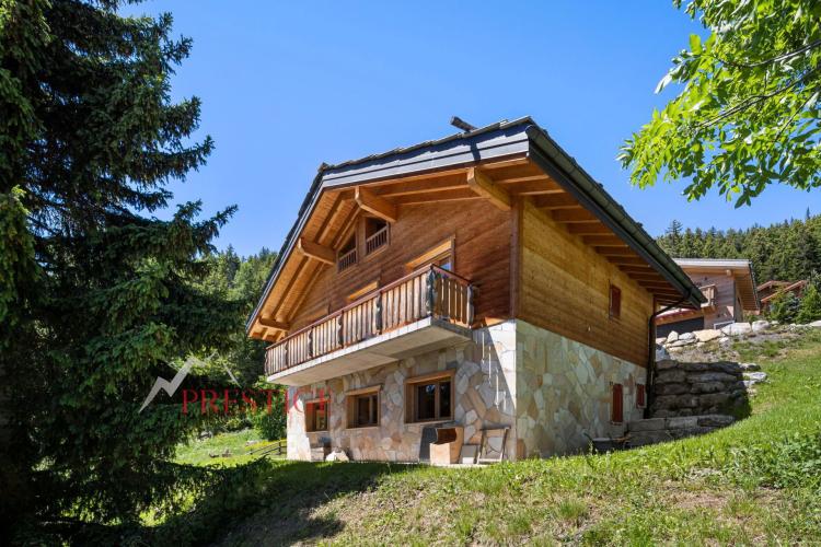 House for rent, Chemin des Sources 8 (Crans-Montana, Switzerland)