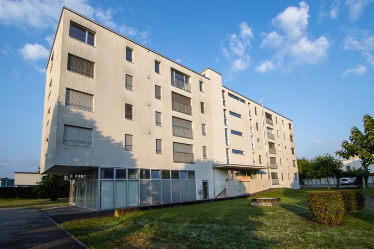 Apartment for rent, Merlachfeld 181 (Murten, Switzerland)