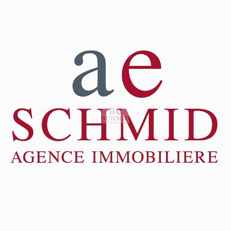 Exclusivité - A rénover - Villa composée de deux appartements
