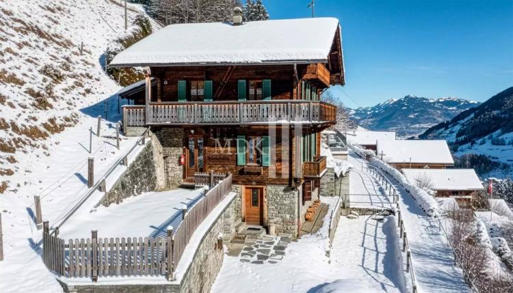Idéal pour investisseur - chalet de 4 appartements