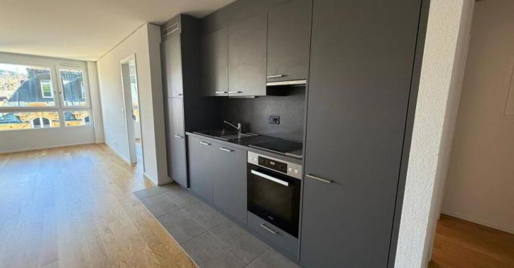 Appartement 2.5 pièces