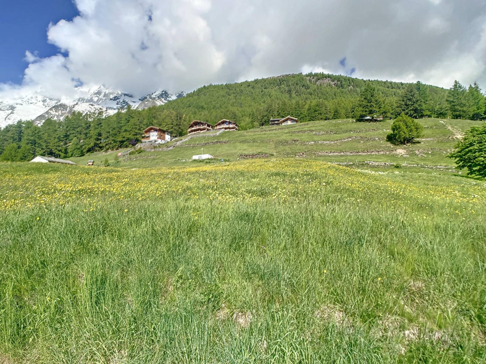 Terrain à bâtir parfaitement situé