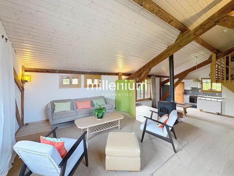 Bel appartement meublé style Loft à Plan-Les-Ouates