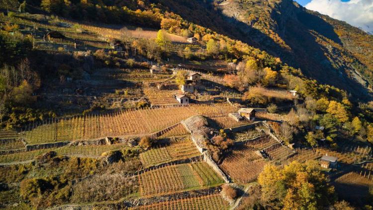 Grange avec jardin à vendre au coeur de Fully