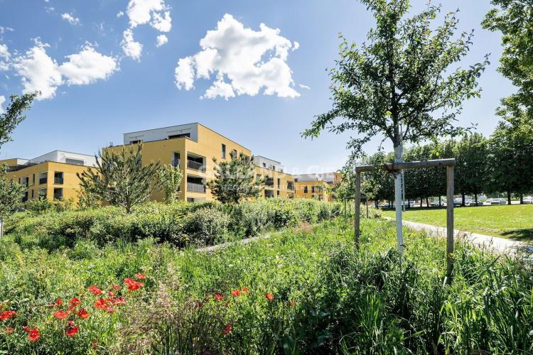 Charmant appartement à Estavayer-le-Lac au coeur d'un écoquartier