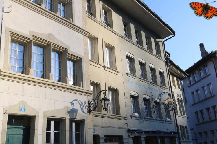 Apartment for rent, Samaritaine 27 (Fribourg, Switzerland)