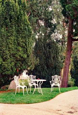 Appartement élégant et haut de gamme à louer
