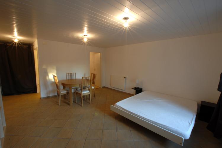 Apartment for rent, Versoix (Versoix, Switzerland)