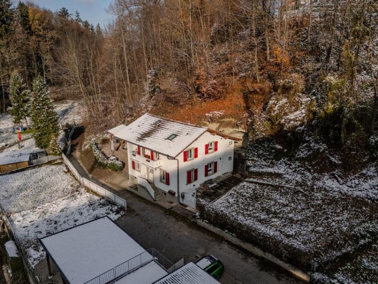 Modernisiertes Zweiparteienhaus mit viel Umschwung