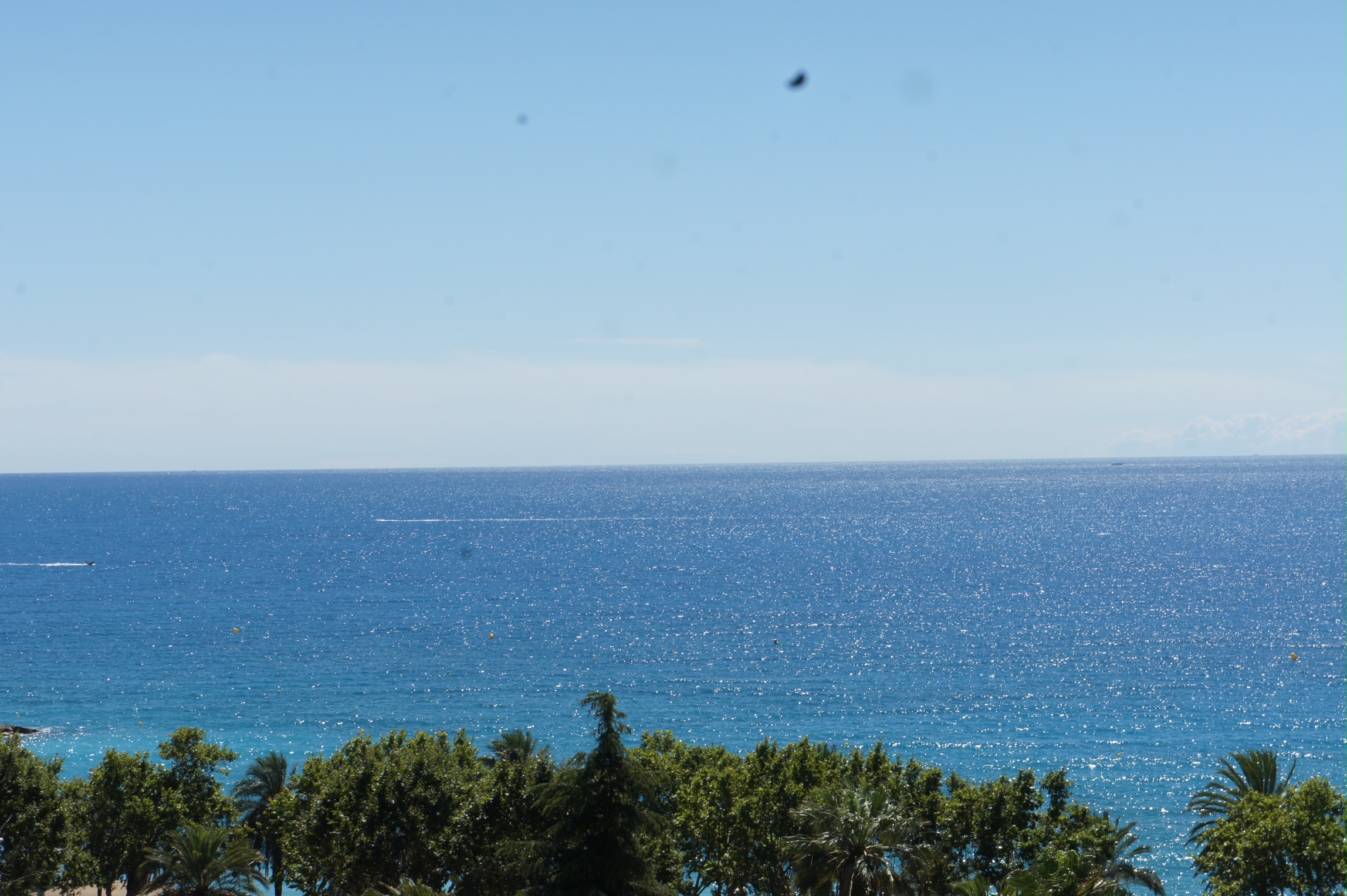 w53iV_dsc05773-1775665537.jpg