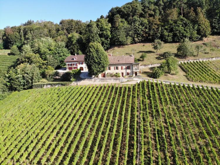 House for sale in Luins, Switzerland