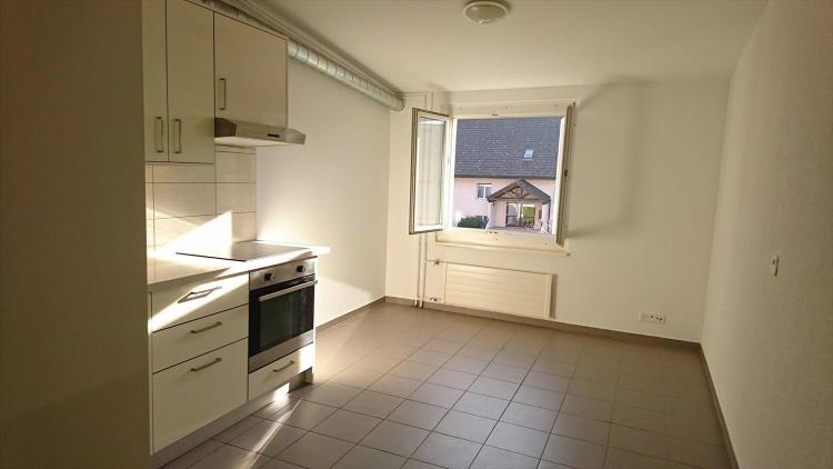 Studio 1 pièce