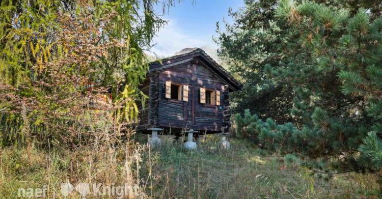 Chalet 1 pièce