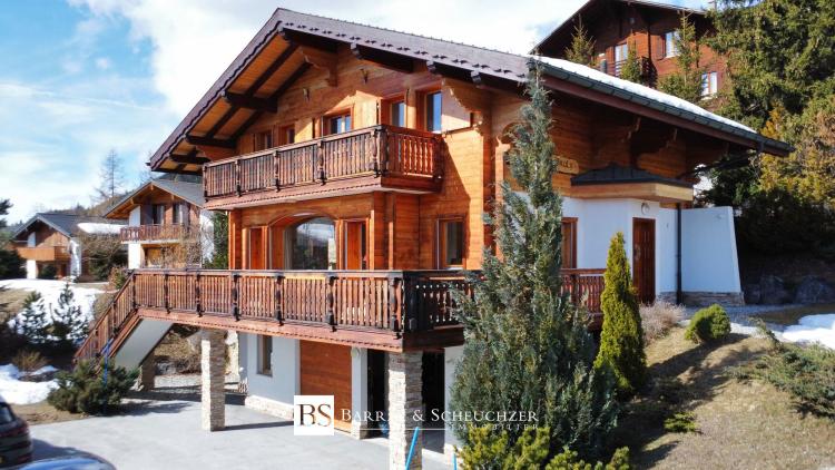 Chalet avec espace studio indépendant, 2 garages et vue