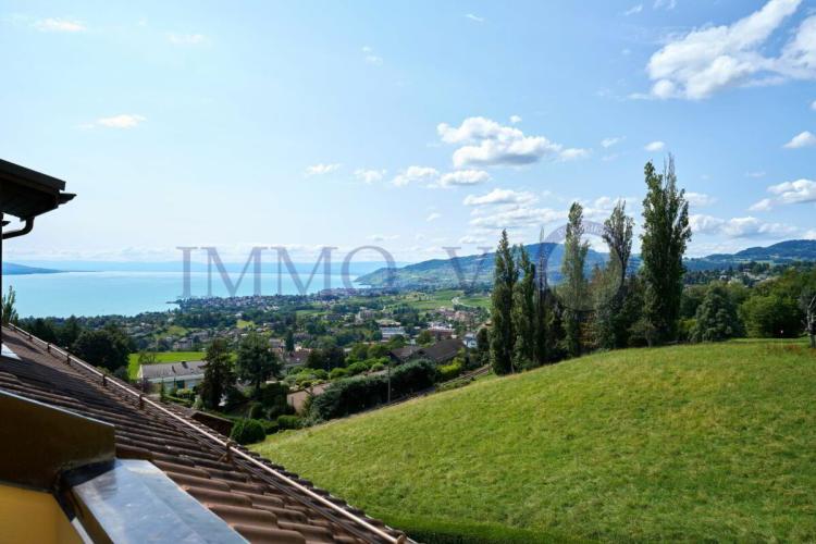 Apartment for sale, Chernex (Riviera-Pays-d'Enhaut District, Switzerland)