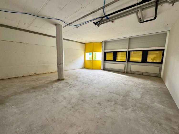 House for rent in Gland, Switzerland