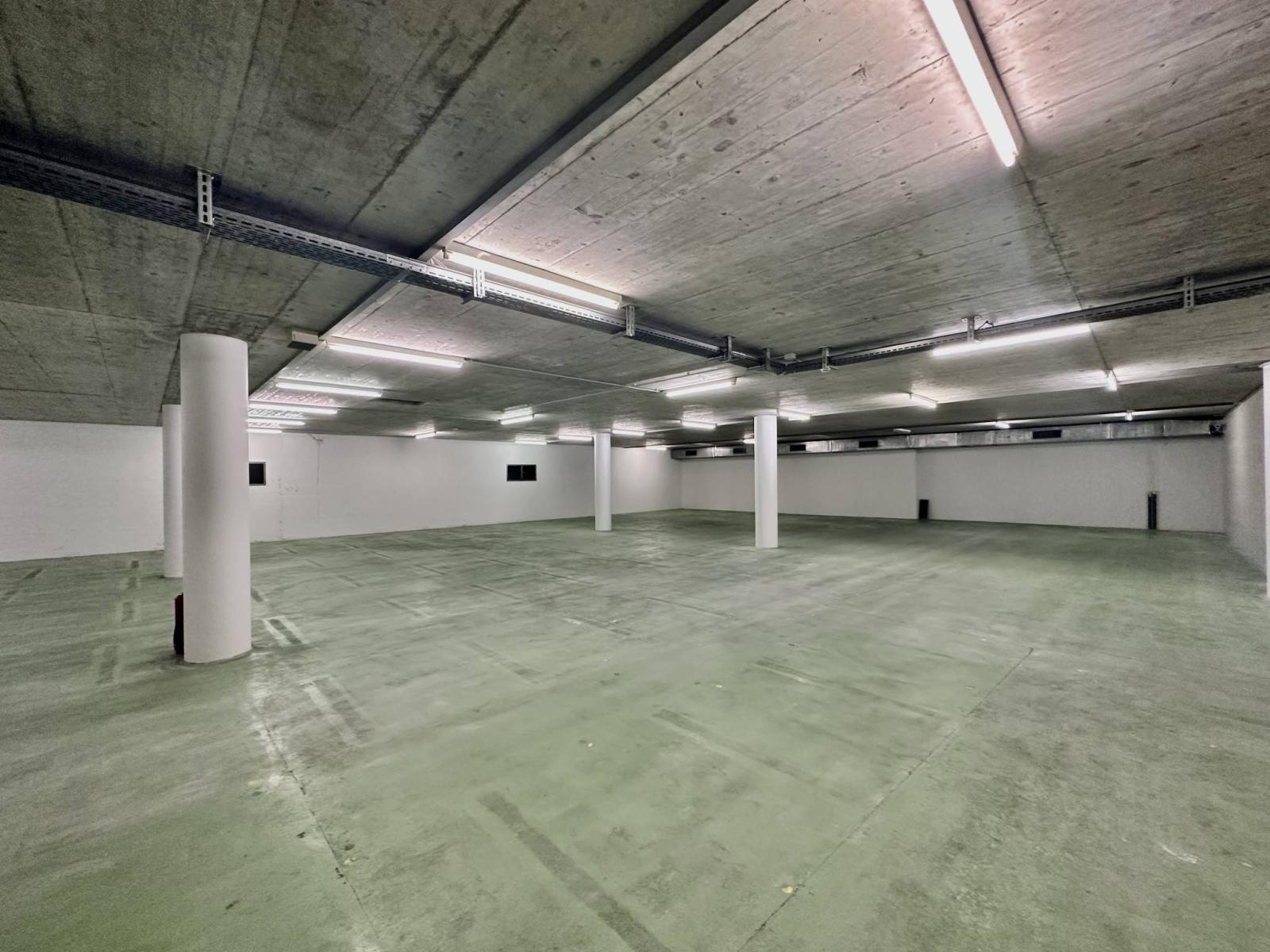 Dépôt, stockage de 1000 m2 div. dès 500 m2 à louer à l'hypercentre de Sion