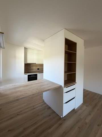 Très joli studio entièrement rénové avec intérieur moderne