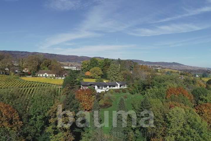 Terrain de plus d'un hectare / maison de plain-pied