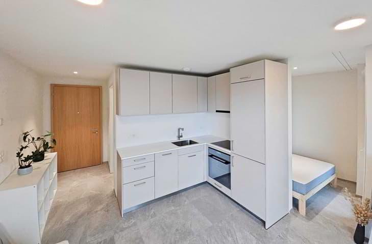 Magnifique studio meublé dans nouveau quartier minergie à Crissier