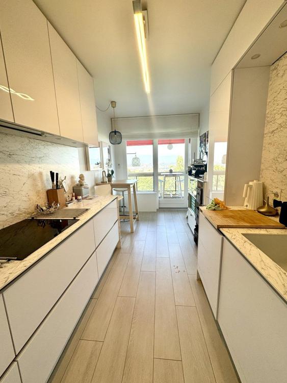 Apartment for rent, Plateau de Frontenex (Geneva (District), Switzerland)