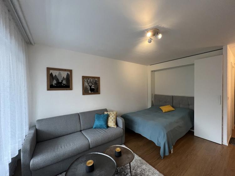 Apartment for rent, Rue du Petit Vallon 30 (Lens, Switzerland)