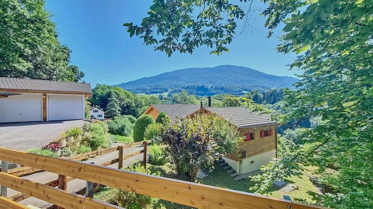 A 10 min de Vevey charmante maison chalet rénovée, jardin et vue !